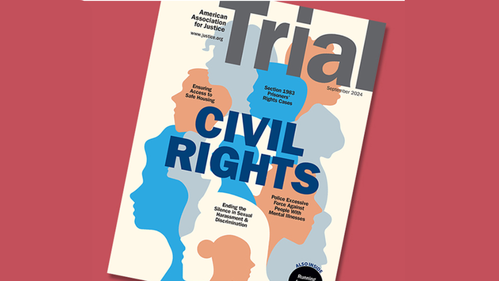 In a new article for AAJ’s Trial magazine, Chelsea recommends ADA Title II and §504 as effective tools to wield in the fight for police accountability in excessive force cases. – Technologist