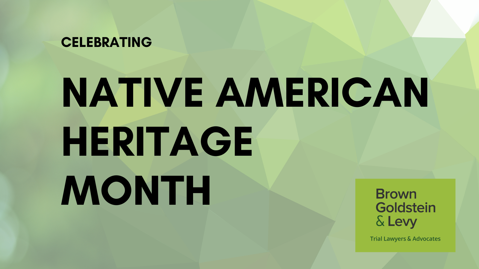 Celebrating Native American Heritage Month: Fast Facts About Indigenous Peoples – Go Health Pro